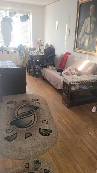 Colentina, Teiul Doamnei,