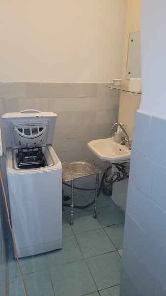 Colentina, Teiul Doamnei,