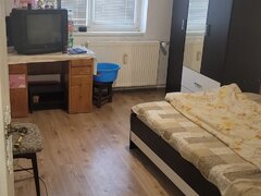 Colentina, Teiul Doamnei