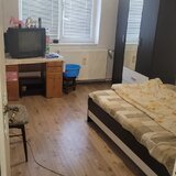 Colentina, Teiul Doamnei